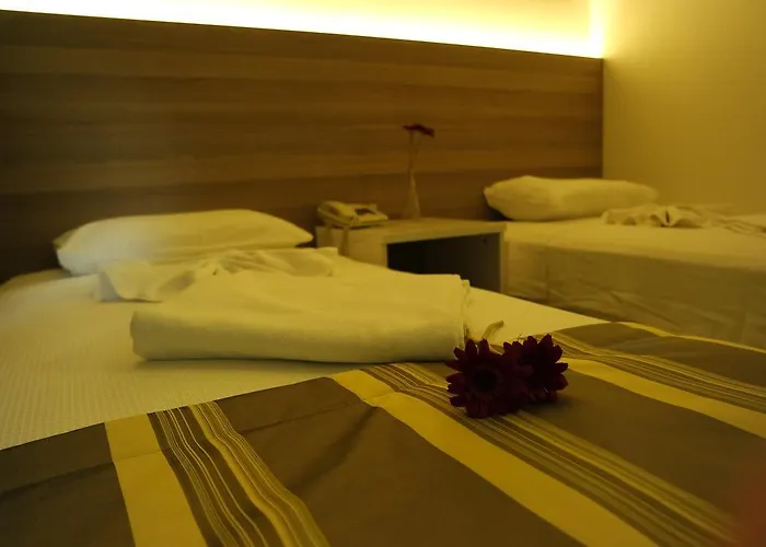 Amphi 3* マルマリス