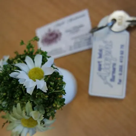 Amphi Μαρμαρίς